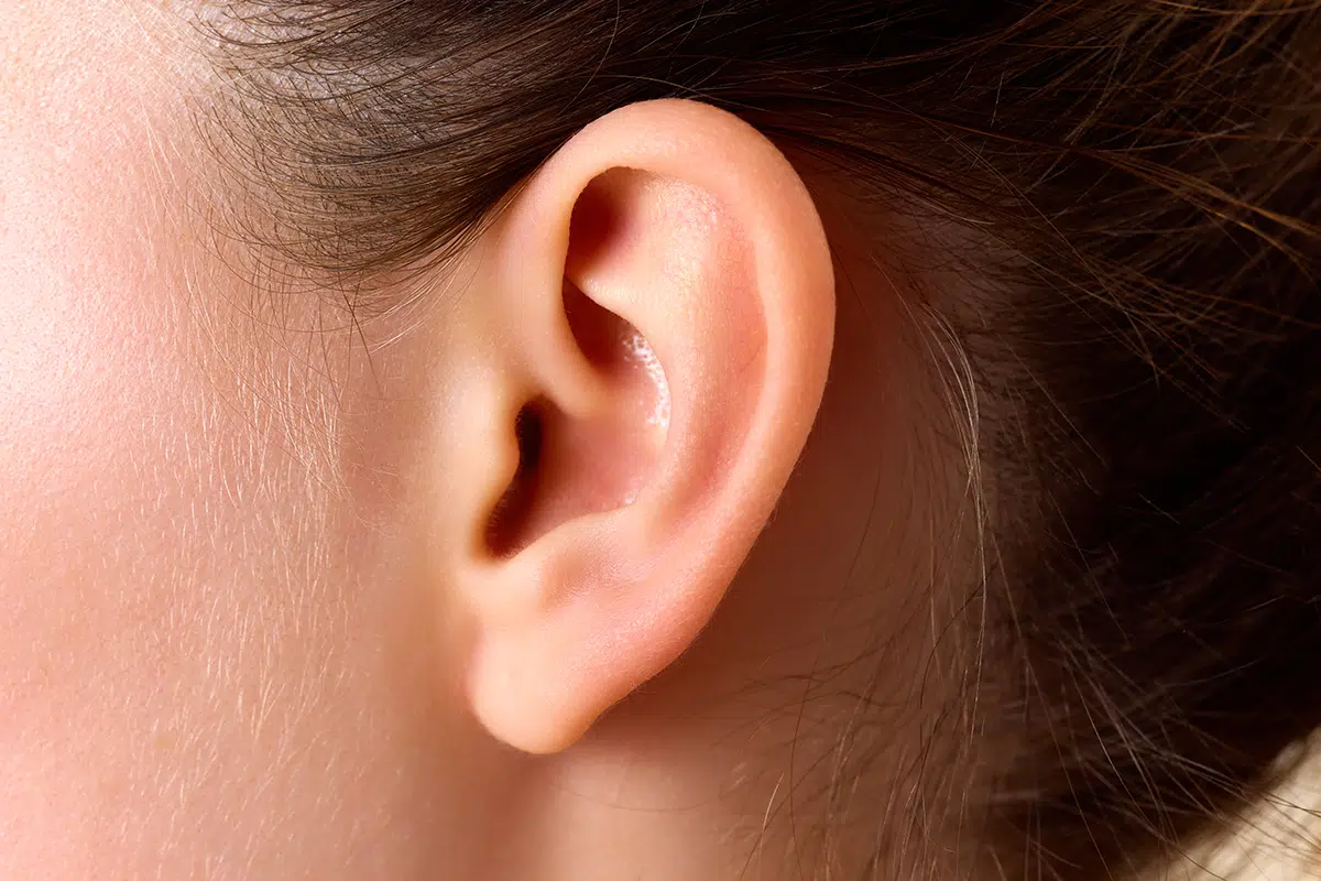 female human ear without accessory and hair